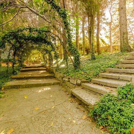 Park Complex Viktoria *